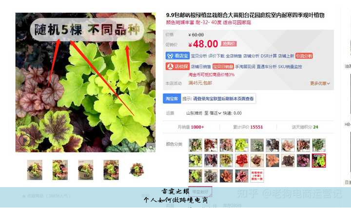 个人如何做跨境电商