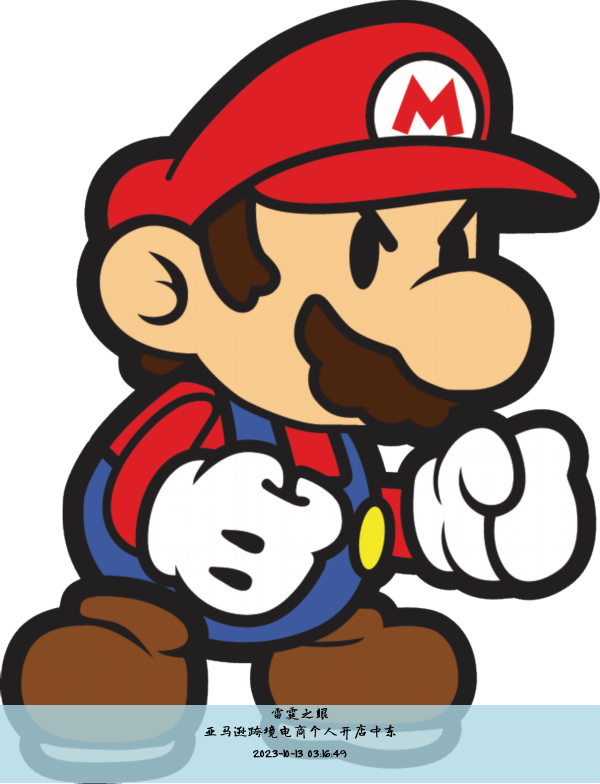 亚马逊跨境电商个人开店中东