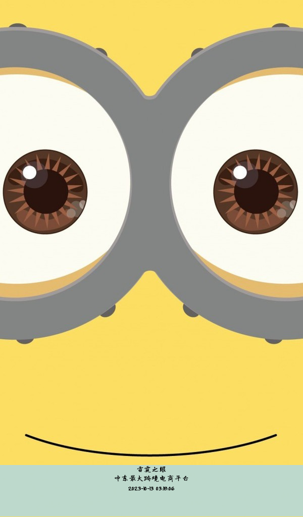 中东最大跨境电商平台