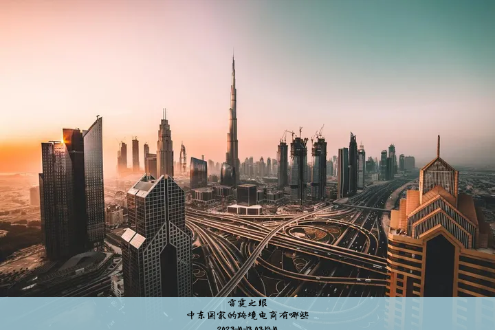 中东国家的跨境电商有哪些