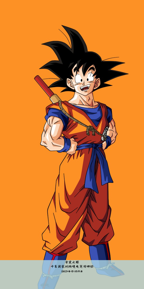 中东国家的跨境电商有哪些